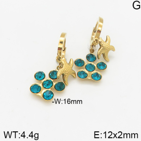 Stainless Steel Earrings  5E4002314vbmb-418