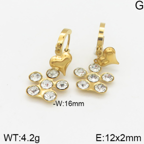 Stainless Steel Earrings  5E4002318vbmb-418