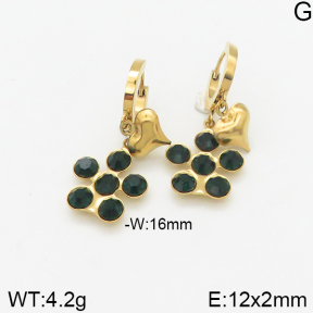 Stainless Steel Earrings  5E4002322vbmb-418