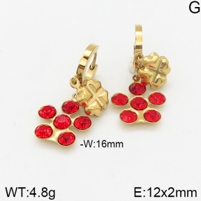 Stainless Steel Earrings  5E4002328vbmb-418