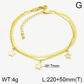 Stainless Steel Anklets  2A9000951abol-669