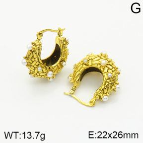 Stainless Steel Earrings  2E3001388vhha-434