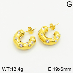 Stainless Steel Earrings  2E4002250vhha-434