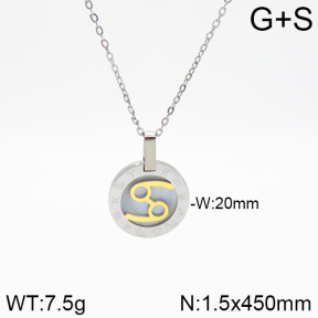 Stainless Steel Necklace  2N3001147bbov-742