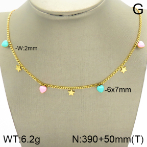 Stainless Steel Necklace  2N3001153vhha-669