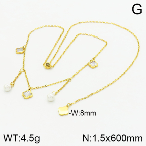 Stainless Steel Necklace  2N3001154vhha-669