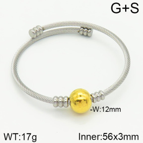 Stainless Steel Bangle  2BA200480bbml-387