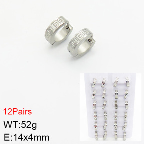 Stainless Steel Earrings  2E2002209akia-387