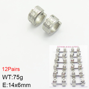 Stainless Steel Earrings  2E2002211akia-387