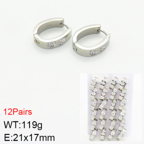 Stainless Steel Earrings  2E4002261akia-387