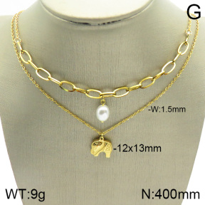 Stainless Steel Necklace  2N3001156bhva-377
