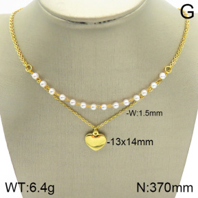 Stainless Steel Necklace  2N3001157bhva-377