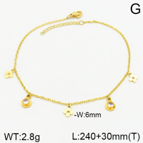 Stainless Steel Anklets  2A9000953baka-372