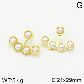 Stainless Steel Earrings  2E3001401vbnl-372