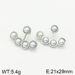 Stainless Steel Earrings  2E3001402bbml-372