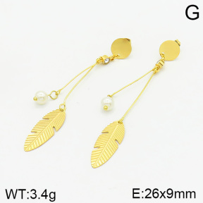 Stainless Steel Earrings  2E3001409vbmb-372