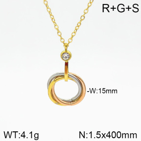 Stainless Steel Necklace  2N4001917vbpb-473