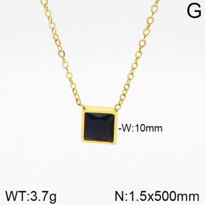 Stainless Steel Necklace  2N4001921vbnl-473