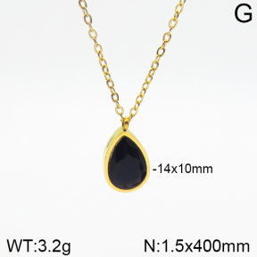 Stainless Steel Necklace  2N4001925vbnl-473