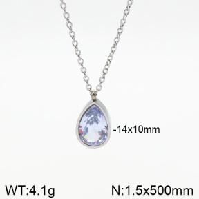 Stainless Steel Necklace  2N4001927vbll-473