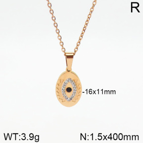 Stainless Steel Necklace  2N4001930vbpb-473
