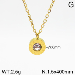 Stainless Steel Necklace  2N4001935vbnb-473