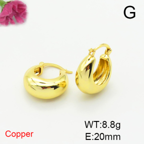 Fashion Copper Earrings  F6E200342bbov-L017