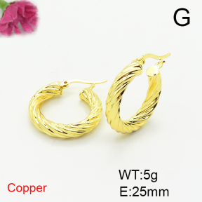 Fashion Copper Earrings  F6E200345vbmb-L017
