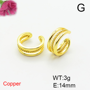 Fashion Copper Earrings  F6E200350baka-L017