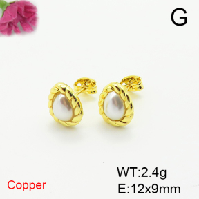 Fashion Copper Earrings  F6E301714ablb-L017