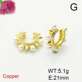 Fashion Copper Earrings  F6E301716bhva-L017