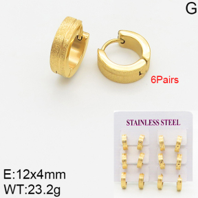 Stainless Steel Earrings  5E2002488vhov-254