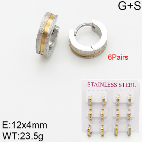 Stainless Steel Earrings  5E2002490vhov-254