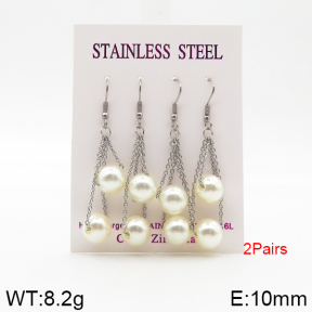 Stainless Steel Earrings  5E3001090vbnb-254