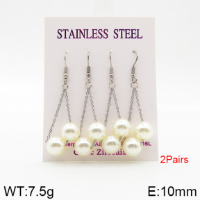 Stainless Steel Earrings  5E3001092vbnb-254