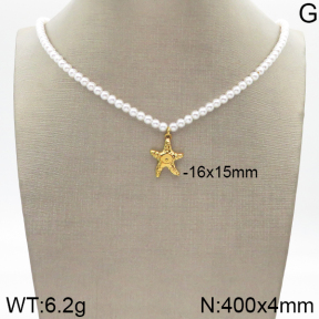 Stainless Steel Necklace  5N3000550bbov-610