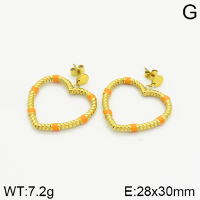 Stainless Steel Earrings  2E3001432vhha-493