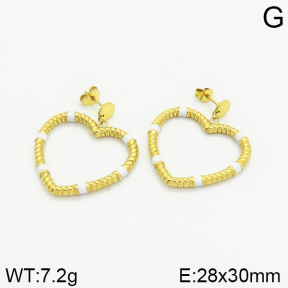 Stainless Steel Earrings  2E3001433vhha-493