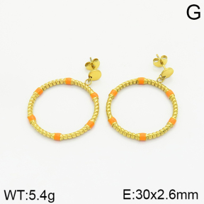 Stainless Steel Earrings  2E3001436vhha-493