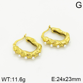Stainless Steel Earrings  2E3001439ahjb-493