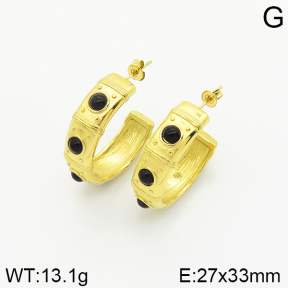 Stainless Steel Earrings  2E4002347ahjb-493