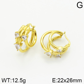 Stainless Steel Earrings  2E4002350ahjb-493