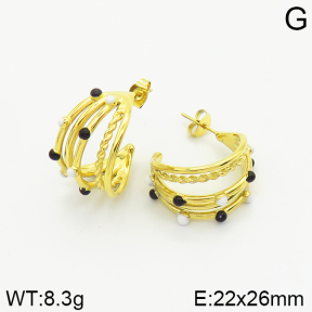 Stainless Steel Earrings  2E4002351bhia-493