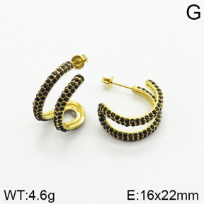 Stainless Steel Earrings  2E4002353vhmv-493