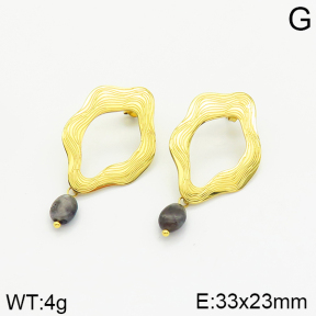 Stainless Steel Earrings  2E4002362vhha-493
