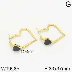 Stainless Steel Earrings  2E4002371vhkb-493