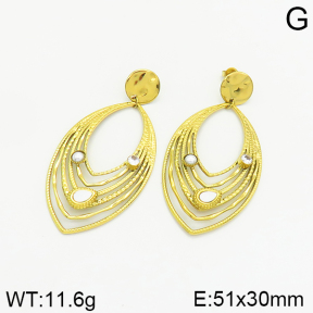 Stainless Steel Earrings  2E4002381ahlv-493