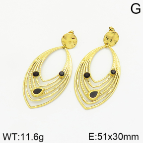 Stainless Steel Earrings  2E4002383ahlv-493