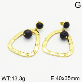 Stainless Steel Earrings  2E4002384bhia-493