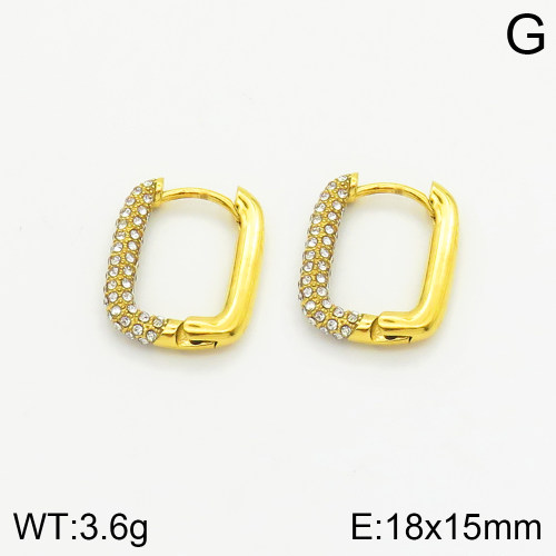 Stainless Steel Earrings  2E3001448vhkb-066